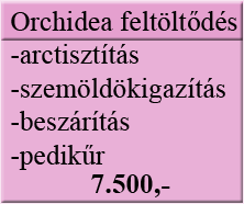 kakukk