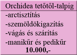 kakukk